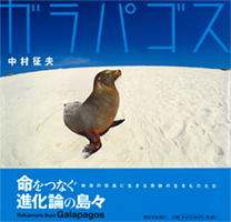 ガラパゴス
