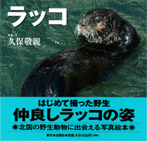 ラッコ