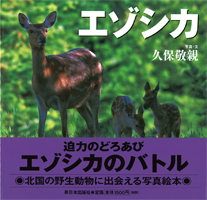 エゾシカ