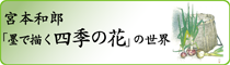 四季の花の世界