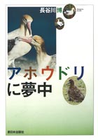 アホウドリに夢中