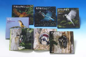 ネイチャーフォトストーリー　日本の野鳥