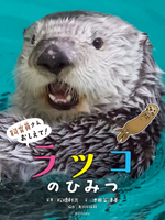 飼育員さんおしえて!ラッコのひみつ
