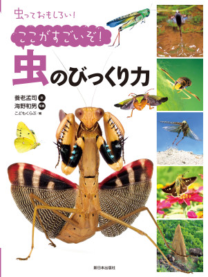 子どもの本-商品詳細｜新日本出版社