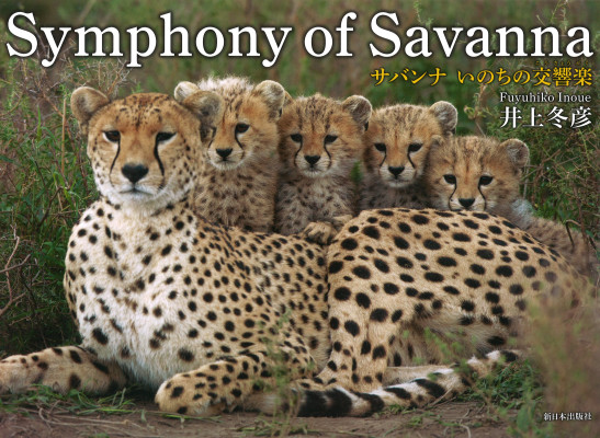 Ｓｙｍｐｈｏｎｙ　ｏｆ　Ｓａｖａｎｎａ