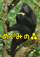 めぐみの森