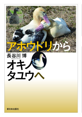 アホウドリからオキノタユウへ