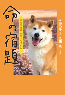 命の宿題