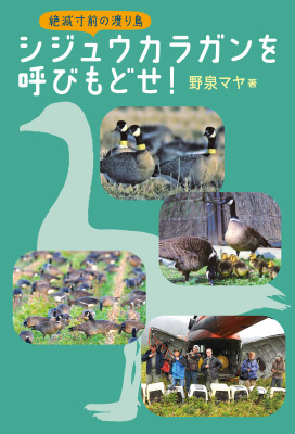 シジュウカラガンを呼びもどせ!